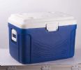 Food Cooler Box